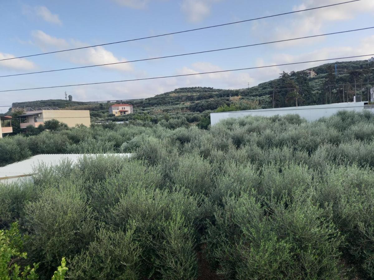 Michalis Litinas Apartments Agia Marina Eksteriør billede